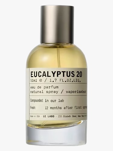 EUCALYPTUS 20 -U-image
